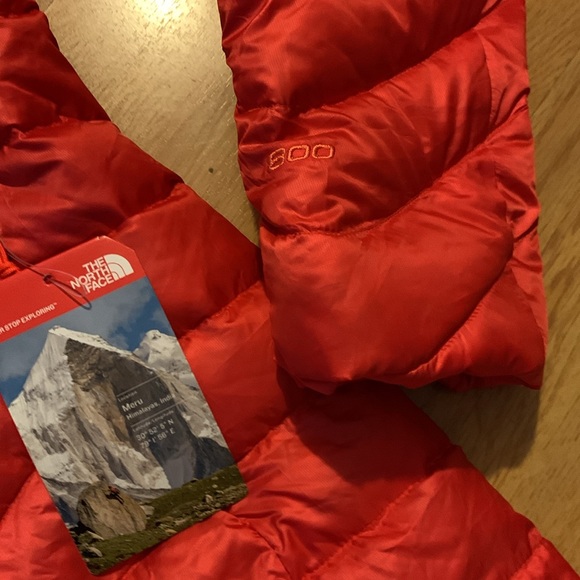 NWT The North Face Trevail Parka, Medium - Picture 6 of 11